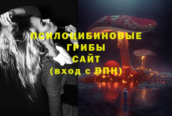 стаф Алексин