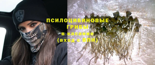стаф Алексин
