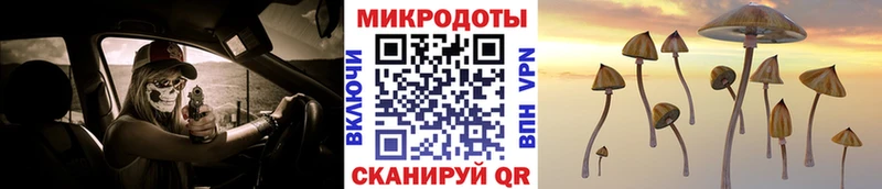 Галлюциногенные грибы ЛСД  Заозёрный 